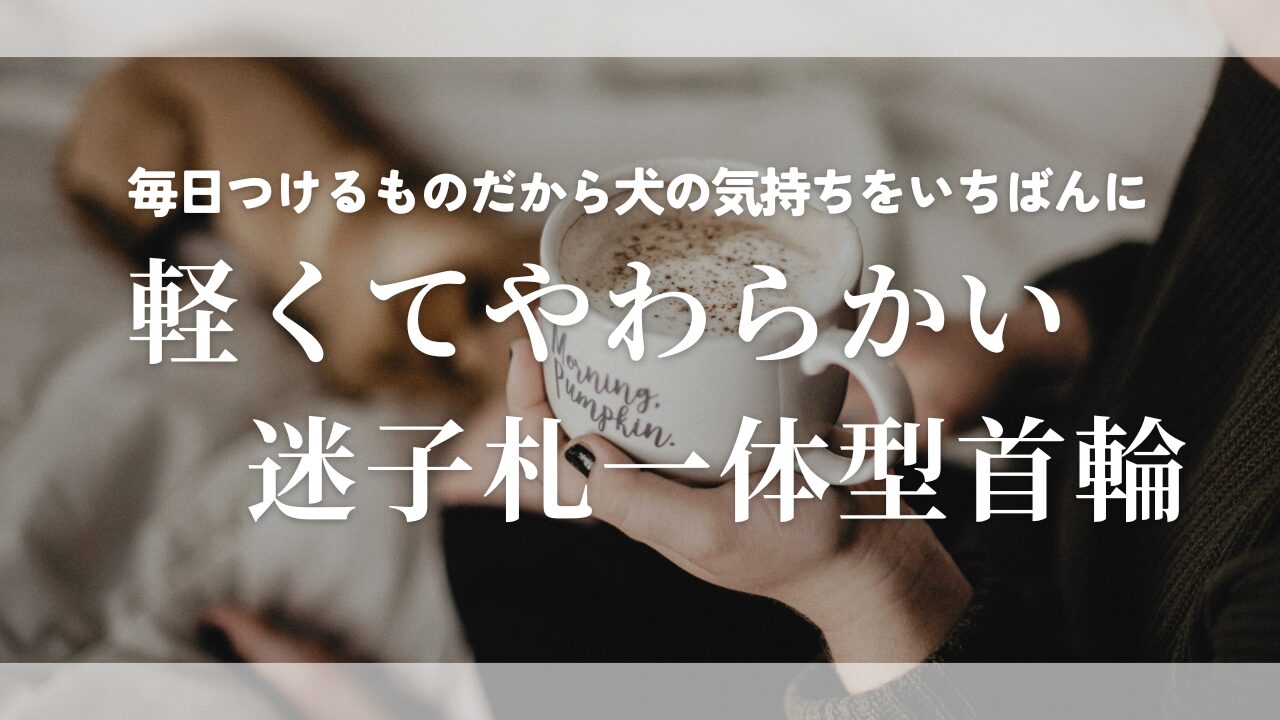 迷子札一体型首輪
