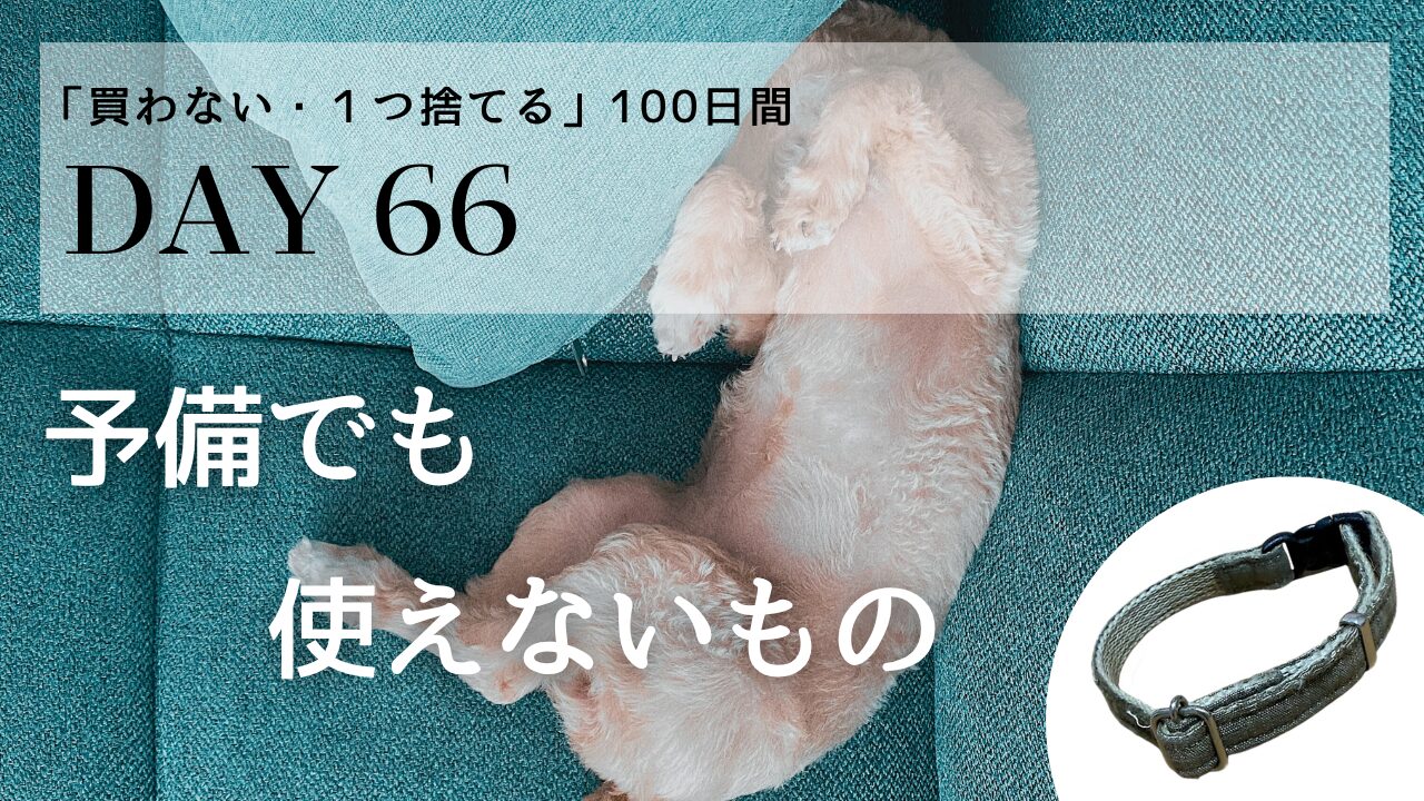DAY66